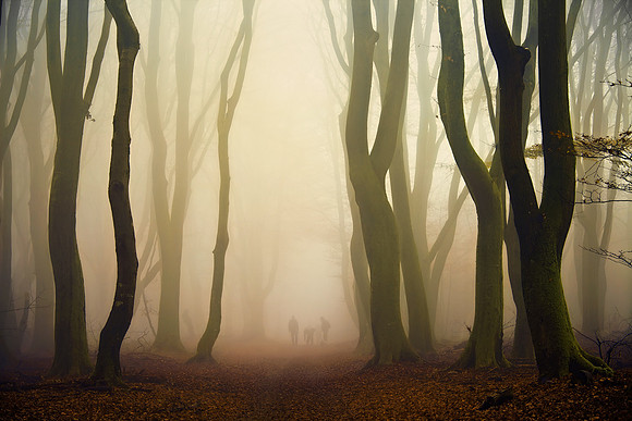 Stragglers