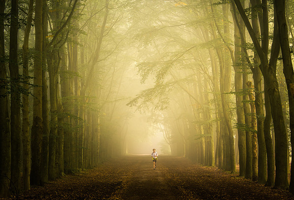 Forest run!