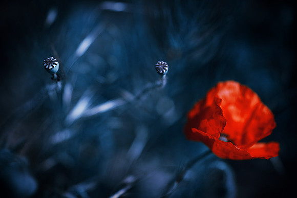 Last dance