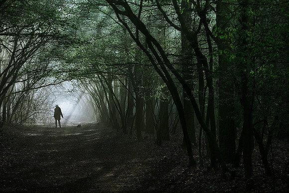 Guiding light